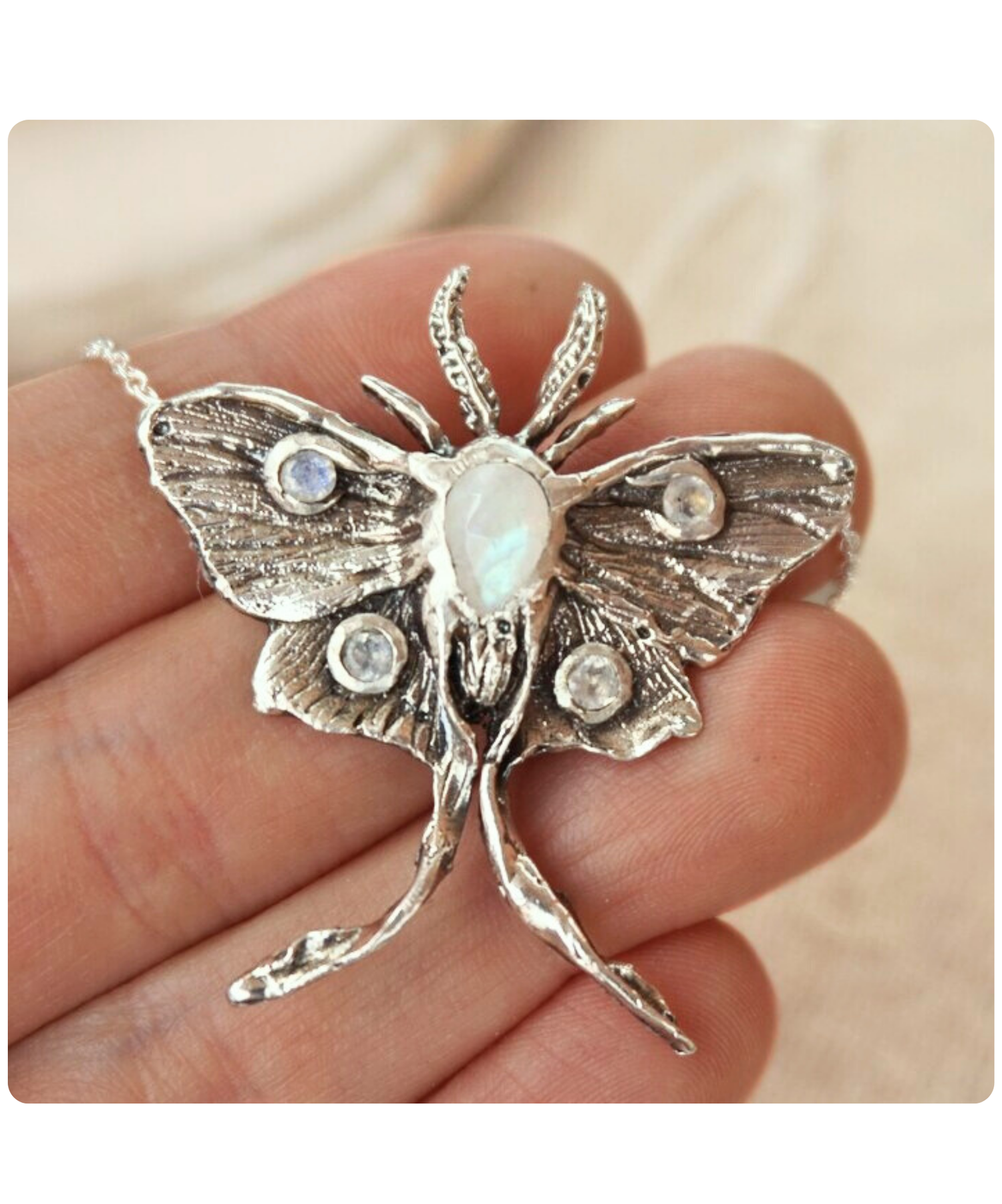 Moth