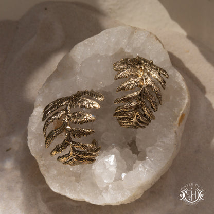Small handcrafted fern earrings with moonstone in brass.